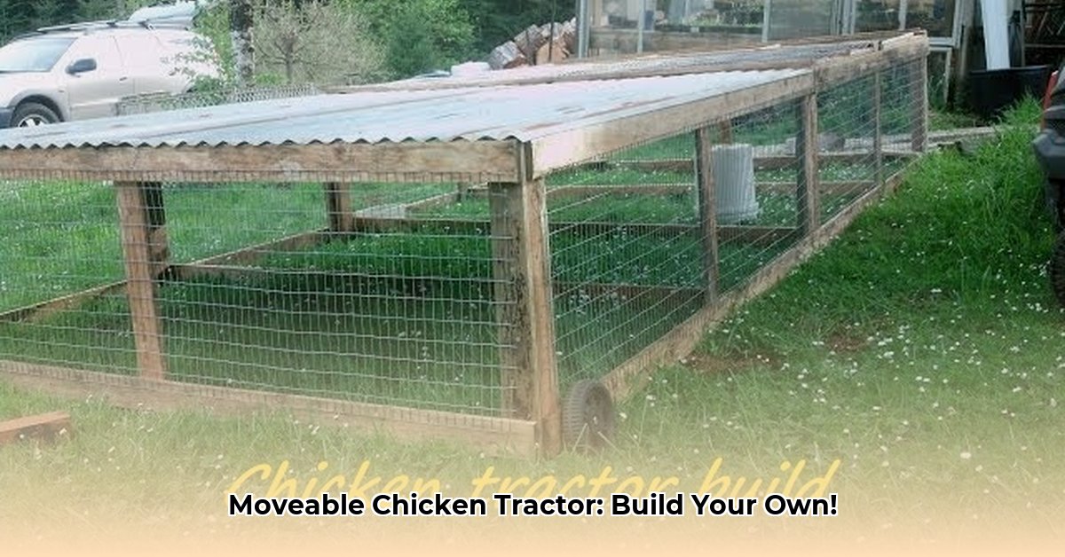 moveable-chicken-tractor